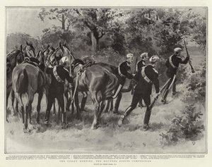 Bisley会议，Mounted Scouts比赛